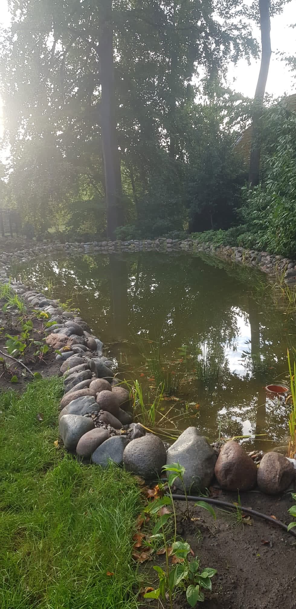 Natürlicher Gartenteich mit Bepflanzung